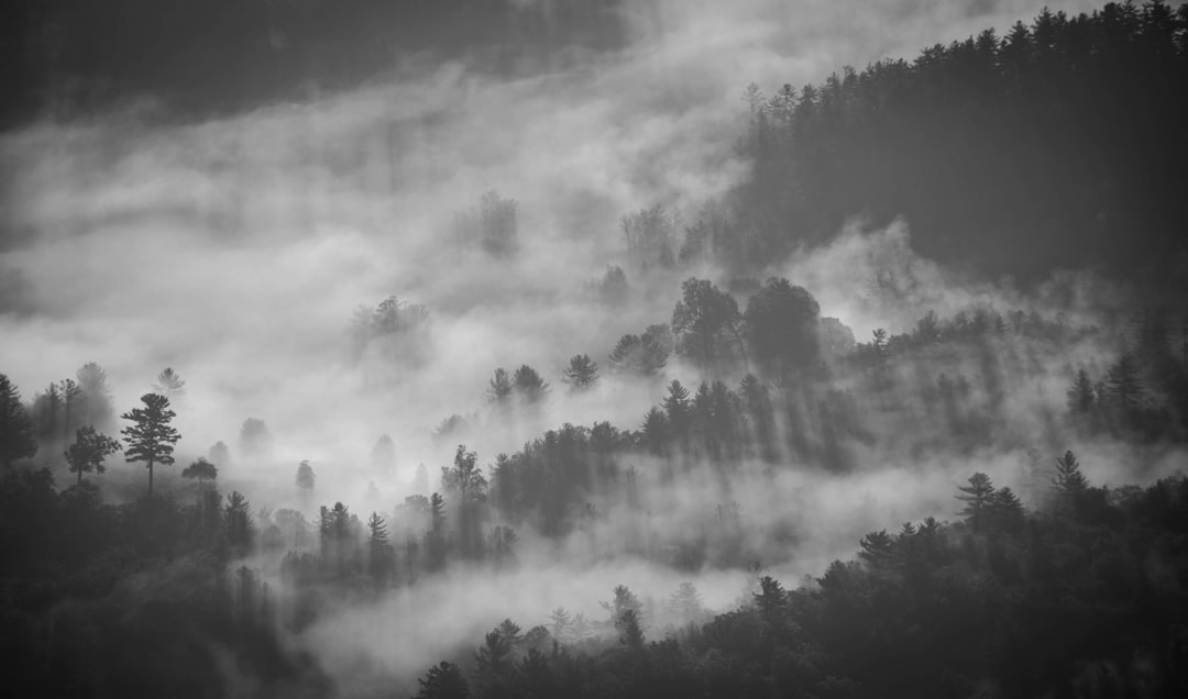 Exploring Outlander Background in 5e: A Guide